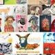 Vintage Sophie's Postcard: A Glimpse into History | Old Stamp Collecting Guide: Discover, Value & Preserve Vintage Stamps