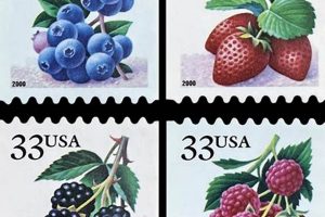 2000 Postage Stamp Cost: Price & History | Old Stamp Collecting Guide: Discover, Value & Preserve Vintage Stamps