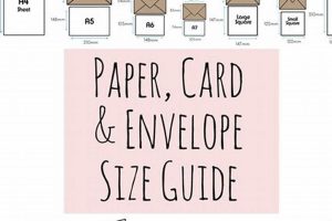 Perfect Postcard Envelope Size Guide & Chart | Old Stamp Collecting Guide: Discover, Value & Preserve Vintage Stamps