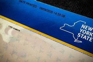 NYC Food Stamp Card Guide &amp; Resources | Old Stamp Collecting Guide: Discover, Value & Preserve Vintage Stamps