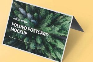 Folded Postcard Old Stamp Collecting Guide: Discover, Value & Preserve Vintage Stamps Folded Postcard | Old Stamp Collecting Guide: Discover, Value & Preserve Vintage Stamps