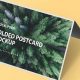 Folded Postcard | Old Stamp Collecting Guide: Discover, Value & Preserve Vintage Stamps