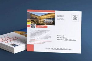 Bulk Postcard Printing & Mailing Services | Old Stamp Collecting Guide: Discover, Value & Preserve Vintage Stamps