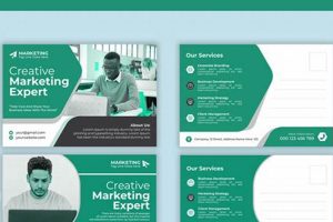 Send Digital Postcards Online: Free & Easy | Old Stamp Collecting Guide: Discover, Value & Preserve Vintage Stamps