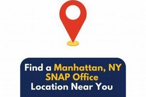 Find Lubbock Food Stamp Office Locations & Info | Old Stamp Collecting Guide: Discover, Value & Preserve Vintage Stamps