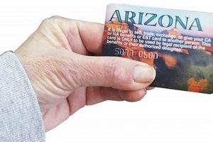 Arizona Food Stamp Card Guide &amp; FAQs | Old Stamp Collecting Guide: Discover, Value & Preserve Vintage Stamps