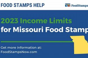 Missouri Food Stamp Income Limits & Eligibility Old Stamp Collecting Guide: Discover, Value & Preserve Vintage Stamps Missouri Food Stamp Income Limits & Eligibility | Old Stamp Collecting Guide: Discover, Value & Preserve Vintage Stamps