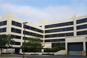 Food Stamp Office In Jersey City Nj | Old Stamp Collecting Guide: Discover, Value & Preserve Vintage Stamps