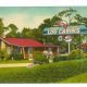 Cozy Postcard Cabins in Sunny Florida Await! | Old Stamp Collecting Guide: Discover, Value & Preserve Vintage Stamps