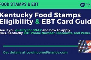 Apply for Kentucky Food Stamp Benefits Today | Old Stamp Collecting Guide: Discover, Value & Preserve Vintage Stamps