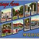 Vintage Michigan Postcards: Scenic Views & History | Old Stamp Collecting Guide: Discover, Value & Preserve Vintage Stamps