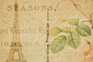 Antique Vintage French Postcards & History | Old Stamp Collecting Guide: Discover, Value & Preserve Vintage Stamps