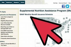 Check Your NJ Food Stamp Balance Instantly | Old Stamp Collecting Guide: Discover, Value & Preserve Vintage Stamps