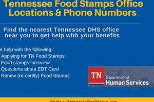 Find Johnson City TN Food Stamp Office Locations | Old Stamp Collecting Guide: Discover, Value & Preserve Vintage Stamps