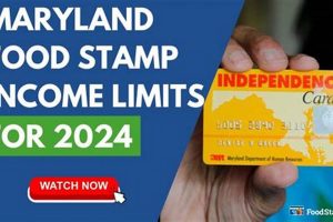 MD Food Stamp Guidelines: 2024 Eligibility &amp; Application | Old Stamp Collecting Guide: Discover, Value & Preserve Vintage Stamps