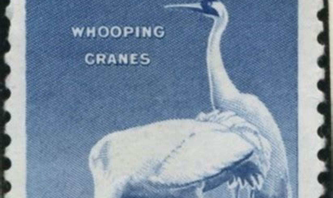 Classic Wildlife Conservation 3 Cent Stamps Old Stamp Collecting Guide: Discover, Value & Preserve Vintage Stamps Classic Wildlife Conservation 3 Cent Stamps | Old Stamp Collecting Guide: Discover, Value & Preserve Vintage Stamps