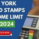 New York Food Stamp Income Guidelines | Old Stamp Collecting Guide: Discover, Value & Preserve Vintage Stamps
