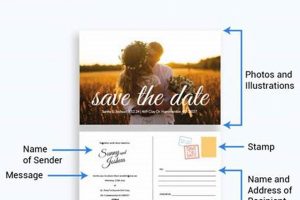 Postcard Definition | Old Stamp Collecting Guide: Discover, Value & Preserve Vintage Stamps