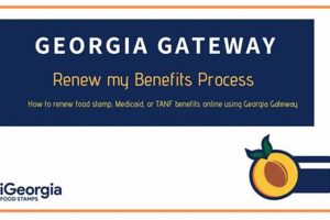 Renew GA Food Stamps: gateway.ga.gov Guide | Old Stamp Collecting Guide: Discover, Value & Preserve Vintage Stamps