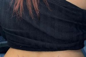 Tramp Stamp 2024: Ink's Back & Bolder | Old Stamp Collecting Guide: Discover, Value & Preserve Vintage Stamps