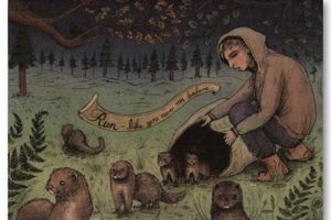 Postcard In The Run | Old Stamp Collecting Guide: Discover, Value & Preserve Vintage Stamps