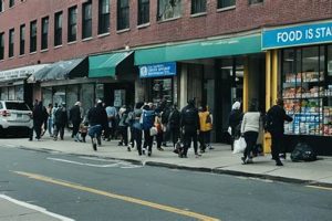 Find Your Staten Island Food Stamp Center Near You Old Stamp Collecting Guide: Discover, Value & Preserve Vintage Stamps Find Your Staten Island Food Stamp Center Near You | Old Stamp Collecting Guide: Discover, Value & Preserve Vintage Stamps