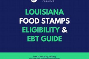 Access Louisiana Food Stamp Portal & Manage Benefits | Old Stamp Collecting Guide: Discover, Value & Preserve Vintage Stamps