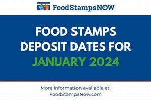 Your Guide to Food Stamp Dates in 2024 Old Stamp Collecting Guide: Discover, Value & Preserve Vintage Stamps Your Guide to Food Stamp Dates in 2024 | Old Stamp Collecting Guide: Discover, Value & Preserve Vintage Stamps