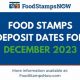DC Food Stamp Guide: Benefits &amp; Eligibility | Old Stamp Collecting Guide: Discover, Value & Preserve Vintage Stamps