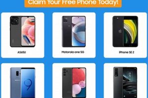 Free Food Stamp Phones in Georgia: Apply Now! Old Stamp Collecting Guide: Discover, Value & Preserve Vintage Stamps Free Food Stamp Phones in Georgia: Apply Now! | Old Stamp Collecting Guide: Discover, Value & Preserve Vintage Stamps