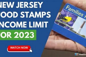 NJ Food Stamp Guide &amp; Application | Old Stamp Collecting Guide: Discover, Value & Preserve Vintage Stamps