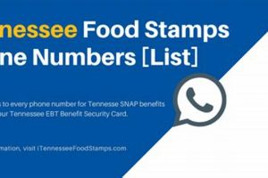 TN Food Stamp Hotline Number: Get Help Now Old Stamp Collecting Guide: Discover, Value & Preserve Vintage Stamps TN Food Stamp Hotline Number: Get Help Now | Old Stamp Collecting Guide: Discover, Value & Preserve Vintage Stamps