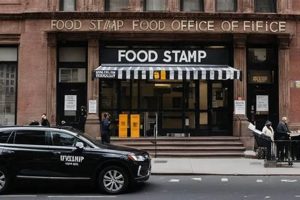 Find Lawrenceville Food Stamp Office Locations &amp; Info | Old Stamp Collecting Guide: Discover, Value & Preserve Vintage Stamps