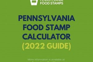 Food Stamp Calculator Pa | Old Stamp Collecting Guide: Discover, Value & Preserve Vintage Stamps