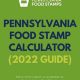 Food Stamp Calculator Pa | Old Stamp Collecting Guide: Discover, Value & Preserve Vintage Stamps