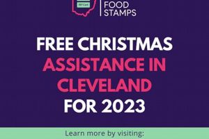 Find Cleveland, OH Food Stamp Offices Near You Old Stamp Collecting Guide: Discover, Value & Preserve Vintage Stamps Find Cleveland, OH Food Stamp Offices Near You | Old Stamp Collecting Guide: Discover, Value & Preserve Vintage Stamps