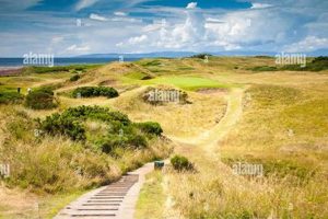 Postage Stamp Placement: Which Hole Is Correct? | Old Stamp Collecting Guide: Discover, Value & Preserve Vintage Stamps