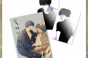 Expressive Sympathy Postcard Book Sets for Comfort | Old Stamp Collecting Guide: Discover, Value & Preserve Vintage Stamps