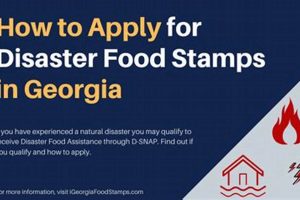 Accessing Disaster Food Stamp Benefits &amp; Aid | Old Stamp Collecting Guide: Discover, Value & Preserve Vintage Stamps