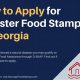 Accessing Disaster Food Stamp Benefits &amp; Aid | Old Stamp Collecting Guide: Discover, Value & Preserve Vintage Stamps