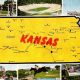 Vintage Kansas Postcards: History in Your Hands | Old Stamp Collecting Guide: Discover, Value & Preserve Vintage Stamps