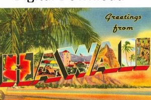 Vintage Postcards from Hawaii: Memories & More | Old Stamp Collecting Guide: Discover, Value & Preserve Vintage Stamps