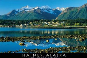 Alaska Postcard Old Stamp Collecting Guide: Discover, Value & Preserve Vintage Stamps Alaska Postcard | Old Stamp Collecting Guide: Discover, Value & Preserve Vintage Stamps