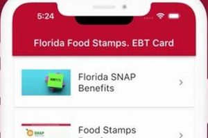 Florida Food Stamp Calculator: Estimate Your Benefits | Old Stamp Collecting Guide: Discover, Value & Preserve Vintage Stamps