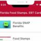 Florida Food Stamp Calculator: Estimate Your Benefits | Old Stamp Collecting Guide: Discover, Value & Preserve Vintage Stamps