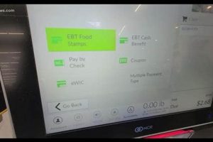 Made A Mistake On Food Stamp Application Old Stamp Collecting Guide: Discover, Value & Preserve Vintage Stamps Made A Mistake On Food Stamp Application | Old Stamp Collecting Guide: Discover, Value & Preserve Vintage Stamps