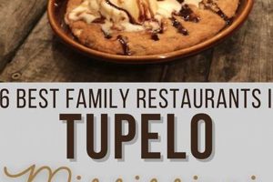 Tupelo Food Stamp Office Old Stamp Collecting Guide: Discover, Value & Preserve Vintage Stamps Tupelo Food Stamp Office | Old Stamp Collecting Guide: Discover, Value & Preserve Vintage Stamps