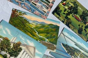 Postcard Books | Old Stamp Collecting Guide: Discover, Value & Preserve Vintage Stamps