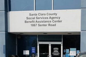 Find Your Grenada, MS Food Stamp Office Location | Old Stamp Collecting Guide: Discover, Value & Preserve Vintage Stamps