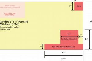Mastering 11x6 Postcard Mailing: A Guide to Regulations | Old Stamp Collecting Guide: Discover, Value & Preserve Vintage Stamps